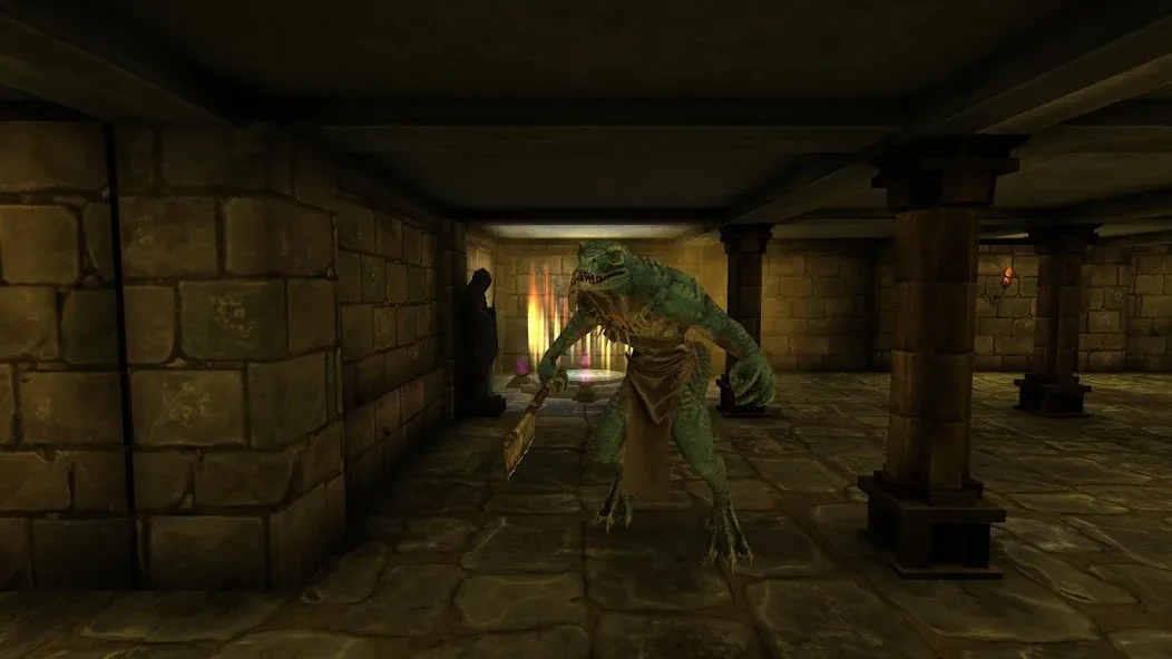 Moonshades RPG Dungeon Crawler (Муншейдс) [МОД: Деньги, Монеты и Меню MOD] Screenshot 5