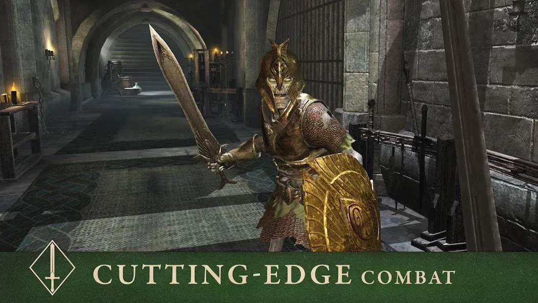 The Elder Scrolls: Blades (Зе Элдер Скроллс) [МОД: Все открыто, Дополнительные деньги и Меню MOD] Screenshot 5