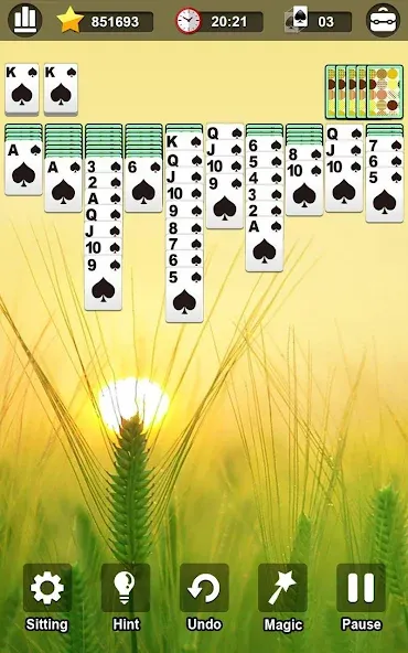 Spider Solitaire [МОД: Деньги, Монеты и Меню MOD] Screenshot 3