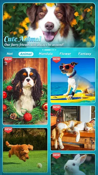 Jigsaw Puzzles [МОД: Много денег, Монет и Все открыто] Screenshot 5