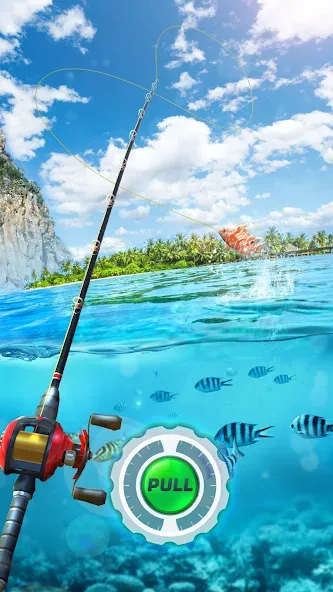 Fishing Rival 3D (Фишинг Ривал 3Д) [МОД: Много монет, Открытые уровни и Мега MOD] Screenshot 1
