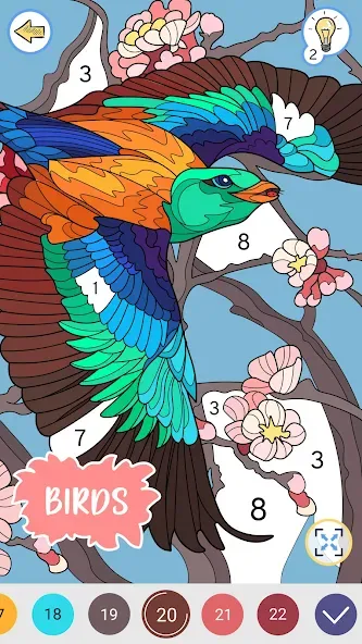Color by Number: Coloring Book [МОД: Все открыто, Дополнительные деньги и Меню MOD] Screenshot 4