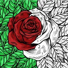 Скачать Color by Number: Coloring Book [МОД: Все открыто, Дополнительные деньги и Меню MOD] | Взлом Color by Number: Coloring Book на Андроид