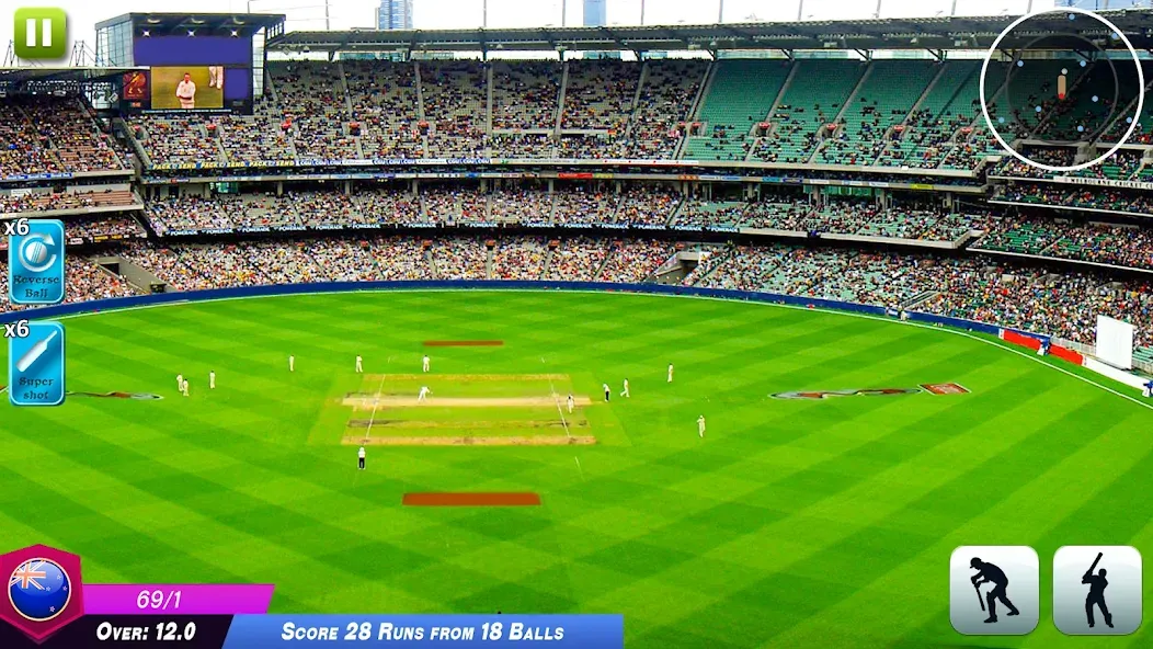 World Cricket Games Offline [МОД: Деньги, Монеты и Меню MOD] Screenshot 3