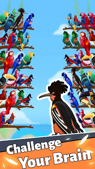 Bird Puzzle - Color Game [МОД: Все открыто, Дополнительные деньги и Меню MOD] Screenshot 2