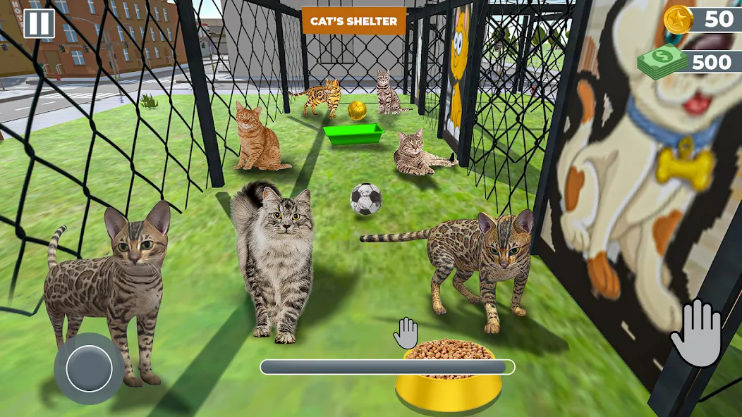 Animal Shelter: Pet Rescue 3D [МОД: Все открыто, Дополнительные деньги и Меню MOD] Screenshot 2