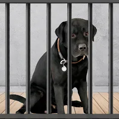 Скачать Animal Shelter: Pet Rescue 3D [МОД: Все открыто, Дополнительные деньги и Меню MOD] | Взлом Animal Shelter: Pet Rescue 3D на Андроид