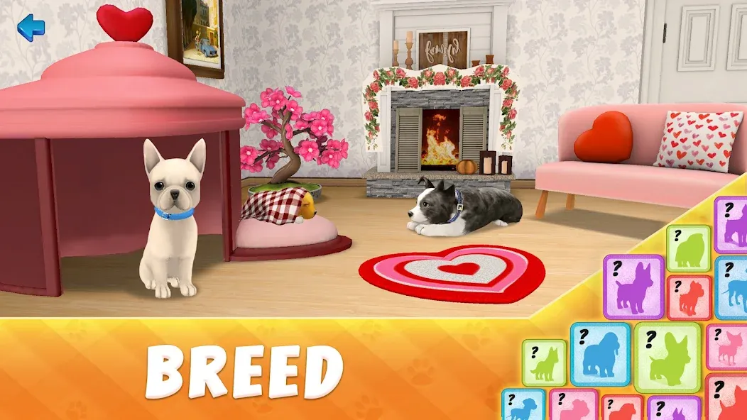 Dog Town: Puppy Pet Shop Games (Догтаун) [МОД: Много монет, Открытые уровни и Мега MOD] Screenshot 5