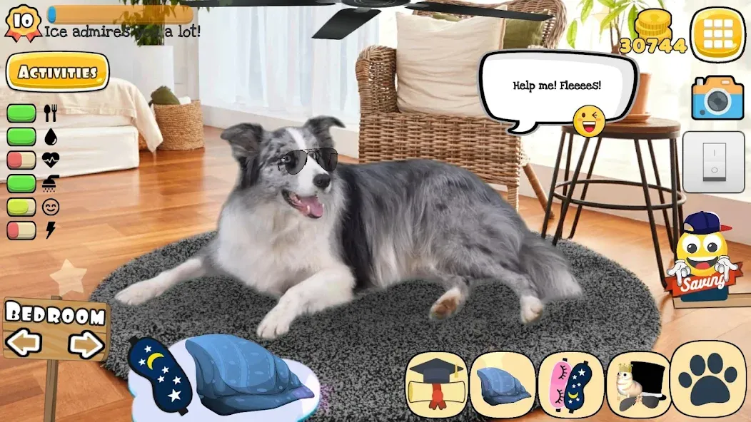Adopt a pet : Corgi Games (Риал Петс бай Фруви) [МОД: Много монет, Открытые уровни и Мега MOD] Screenshot 5