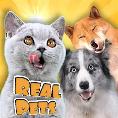 Скачать Adopt a pet : Corgi Games (Риал Петс бай Фруви) [МОД: Много монет, Открытые уровни и Мега MOD] | Взлом Adopt a pet : Corgi Games на Андроид