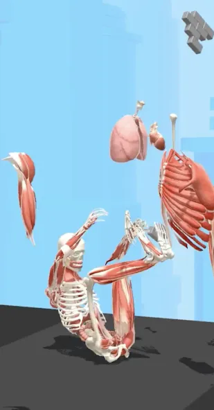 Human Run (Хуман Ран) [МОД: Меню, Бесконечные монеты и Открытые уровни] Screenshot 2