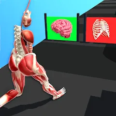 Скачать Human Run (Хуман Ран) [МОД: Меню, Бесконечные монеты и Открытые уровни] | Взлом Human Run на Андроид