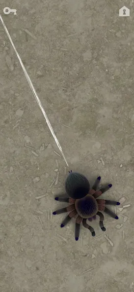 CAT ALONE 2 - Cat Toy (САТ АЛОНЕ 2) [МОД: Бесконечные деньги, Монеты и Мега MOD] Screenshot 4