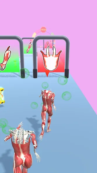 Human Evolution Run [МОД: Деньги, Монеты и Меню MOD] Screenshot 1
