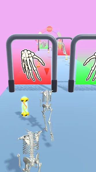 Human Evolution Run [МОД: Деньги, Монеты и Меню MOD] Screenshot 2