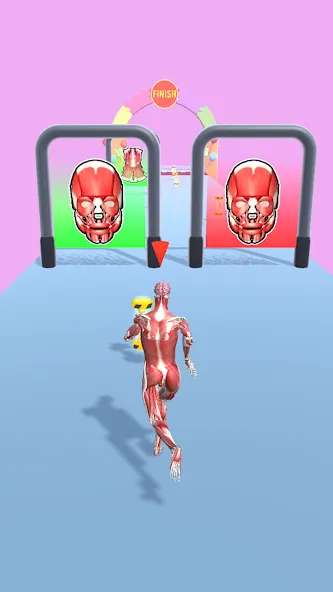 Human Evolution Run [МОД: Деньги, Монеты и Меню MOD] Screenshot 5