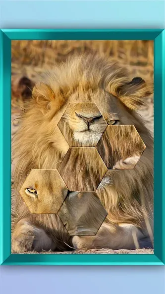 Jigsaw Puzzle - Jigsort Master (Джигсорт Пазл) [МОД: Деньги, Монеты и Меню MOD] Screenshot 2