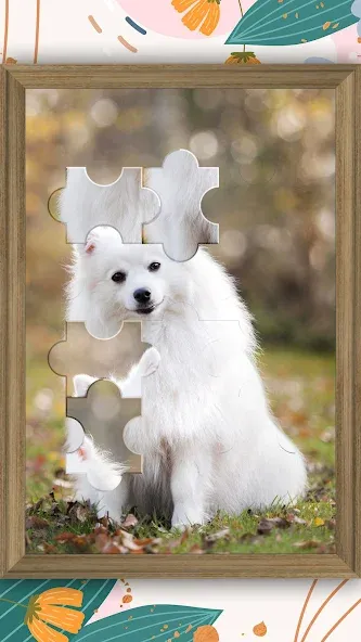 Jigsaw Puzzle - Jigsort Master (Джигсорт Пазл) [МОД: Деньги, Монеты и Меню MOD] Screenshot 3