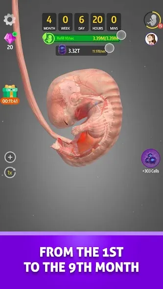 Idle 9 Months (Айдл 9 месяцев) [МОД: Меню, Бесконечные монеты и Открытые уровни] Screenshot 3