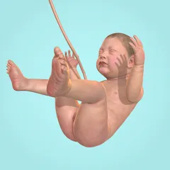 Скачать Idle 9 Months (Айдл 9 месяцев) [МОД: Меню, Бесконечные монеты и Открытые уровни] | Взлом Idle 9 Months на Андроид