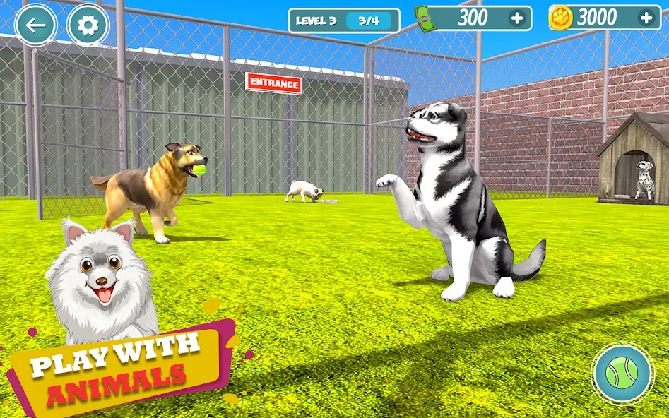 My Pet Animal Shelter World [МОД: Бесконечные деньги, Монеты и Мега MOD] Screenshot 1