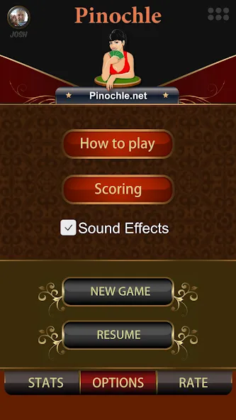 Pinochle.Net [МОД: Бесконечные деньги, Монеты и Мега MOD] Screenshot 2