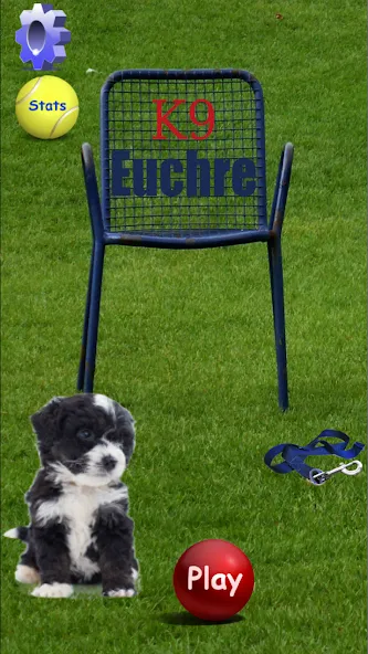 K9 Euchre (К9 Юкер) [МОД: Деньги, Монеты и Меню MOD] Screenshot 1
