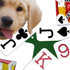 Скачать K9 Euchre (К9 Юкер) [МОД: Деньги, Монеты и Меню MOD] | Взлом K9 Euchre на Андроид