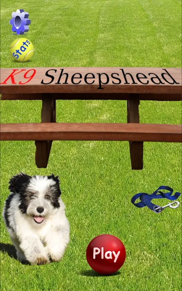 K9 Sheepshead (Schafkopf) (Шипсхед) [МОД: Меню, Бесконечные монеты и Открытые уровни] Screenshot 1