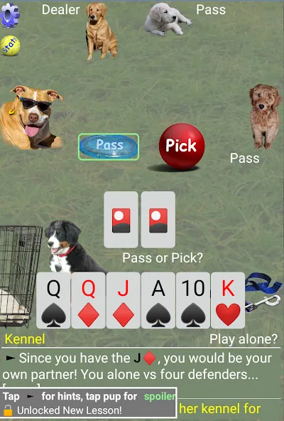 K9 Sheepshead (Schafkopf) (Шипсхед) [МОД: Меню, Бесконечные монеты и Открытые уровни] Screenshot 2