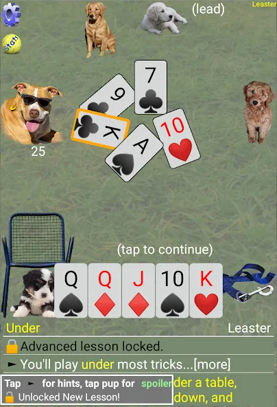 K9 Sheepshead (Schafkopf) (Шипсхед) [МОД: Меню, Бесконечные монеты и Открытые уровни] Screenshot 4