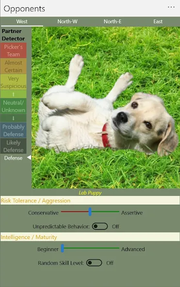 K9 Sheepshead (Schafkopf) (Шипсхед) [МОД: Меню, Бесконечные монеты и Открытые уровни] Screenshot 5
