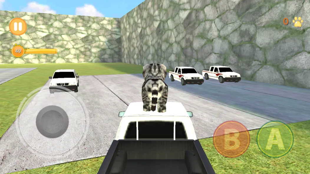 Kitten Cat Simulator 3D Craft [МОД: Много денег, Монет и Все открыто] Screenshot 4