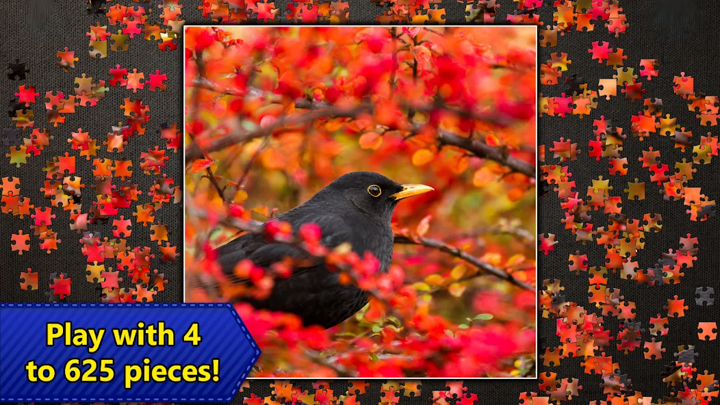 Jigsaw Puzzles Epic [МОД: Много денег, Монет и Все открыто] Screenshot 5