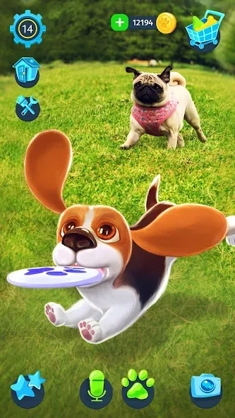 Tamadog - Puppy Pet Dog Games (Тамадог) [МОД: Меню, Бесконечные монеты и Открытые уровни] Screenshot 3