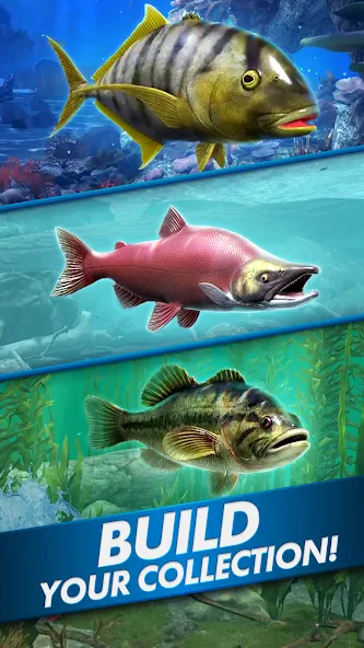 Ultimate Fishing! Fish Game [МОД: Все открыто, Дополнительные деньги и Меню MOD] Screenshot 5