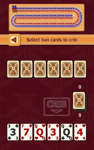 Cribbage (Криббидж) [МОД: Деньги, Монеты и Меню MOD] Screenshot 4