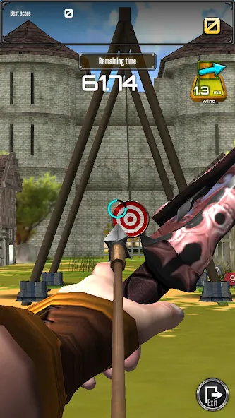 Archery Big Match [МОД: Много монет, Открытые уровни и Мега MOD] Screenshot 5