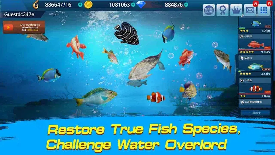 Fishing Championship [МОД: Много монет, Открытые уровни и Мега MOD] Screenshot 2