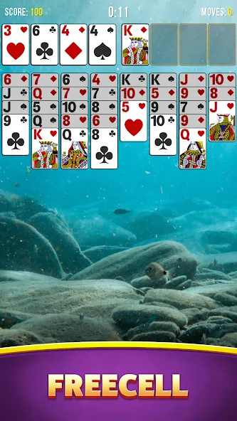 Solitaire Bliss Collection [МОД: Деньги, Монеты и Меню MOD] Screenshot 4