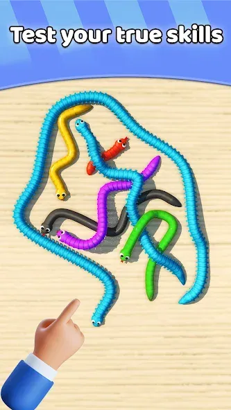 Tangled Snakes Puzzle Game (Танглед Снейк 3Д) [МОД: Бесконечные деньги, Монеты и Мега MOD] Screenshot 4