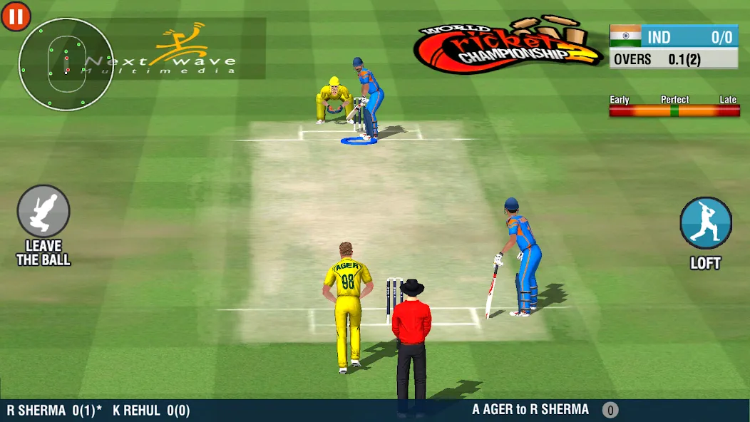 World Cricket Championship 2 (Ворлд Крикет Чемпионшип 2) [МОД: Все открыто, Дополнительные деньги и Меню MOD] Screenshot 4