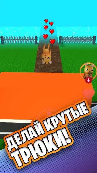 Simbachka Run (Симбачка Ран) [МОД: Деньги, Монеты и Меню MOD] Screenshot 2