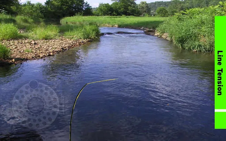 Fly Fishing Simulator (Флай Фишинг Симулятор) [МОД: Меню, Бесконечные монеты и Открытые уровни] Screenshot 4