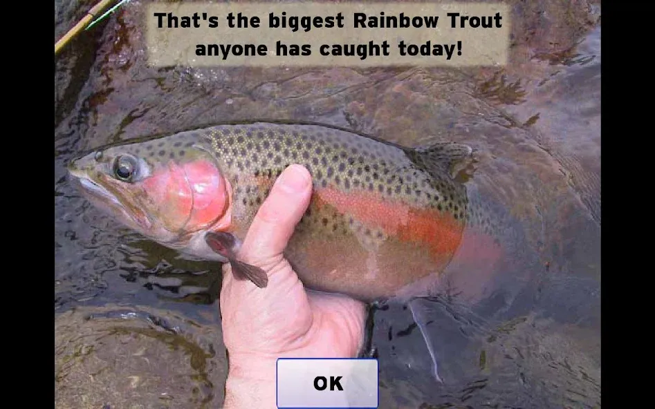 Fly Fishing Simulator (Флай Фишинг Симулятор) [МОД: Меню, Бесконечные монеты и Открытые уровни] Screenshot 5