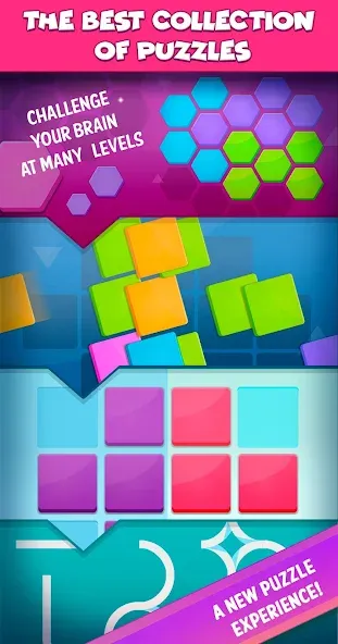 Smart Puzzles Collection [МОД: Много денег, Монет и Все открыто] Screenshot 4