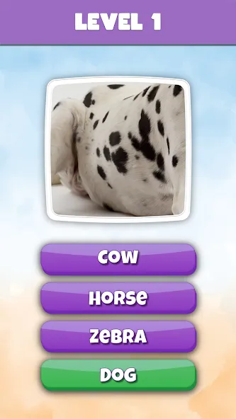 What is it? Pics Trivia Quiz [МОД: Меню, Бесконечные монеты и Открытые уровни] Screenshot 2