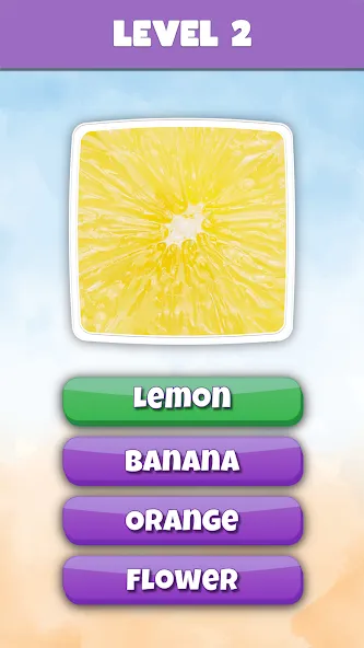 What is it? Pics Trivia Quiz [МОД: Меню, Бесконечные монеты и Открытые уровни] Screenshot 3