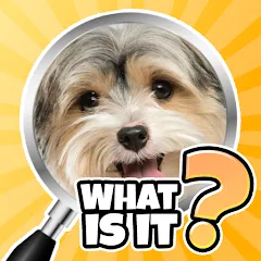 Скачать What is it? Pics Trivia Quiz [МОД: Меню, Бесконечные монеты и Открытые уровни] | Взлом What is it? Pics Trivia Quiz на Андроид