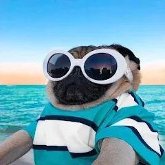 Скачать 10000 words (десять тысяч) [МОД: Много монет, Открытые уровни и Мега MOD] | Взлом 10000 words на Андроид